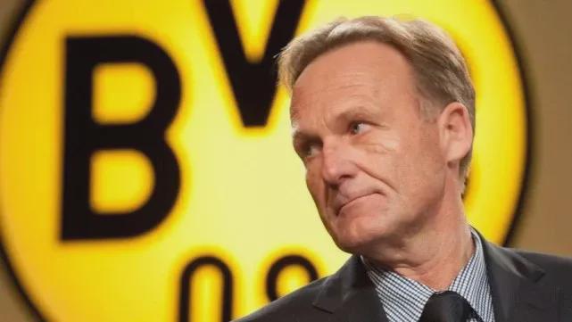 NBA发展联盟-混音主场赢球 杨瀚森14分17板2助2帽篮板新高